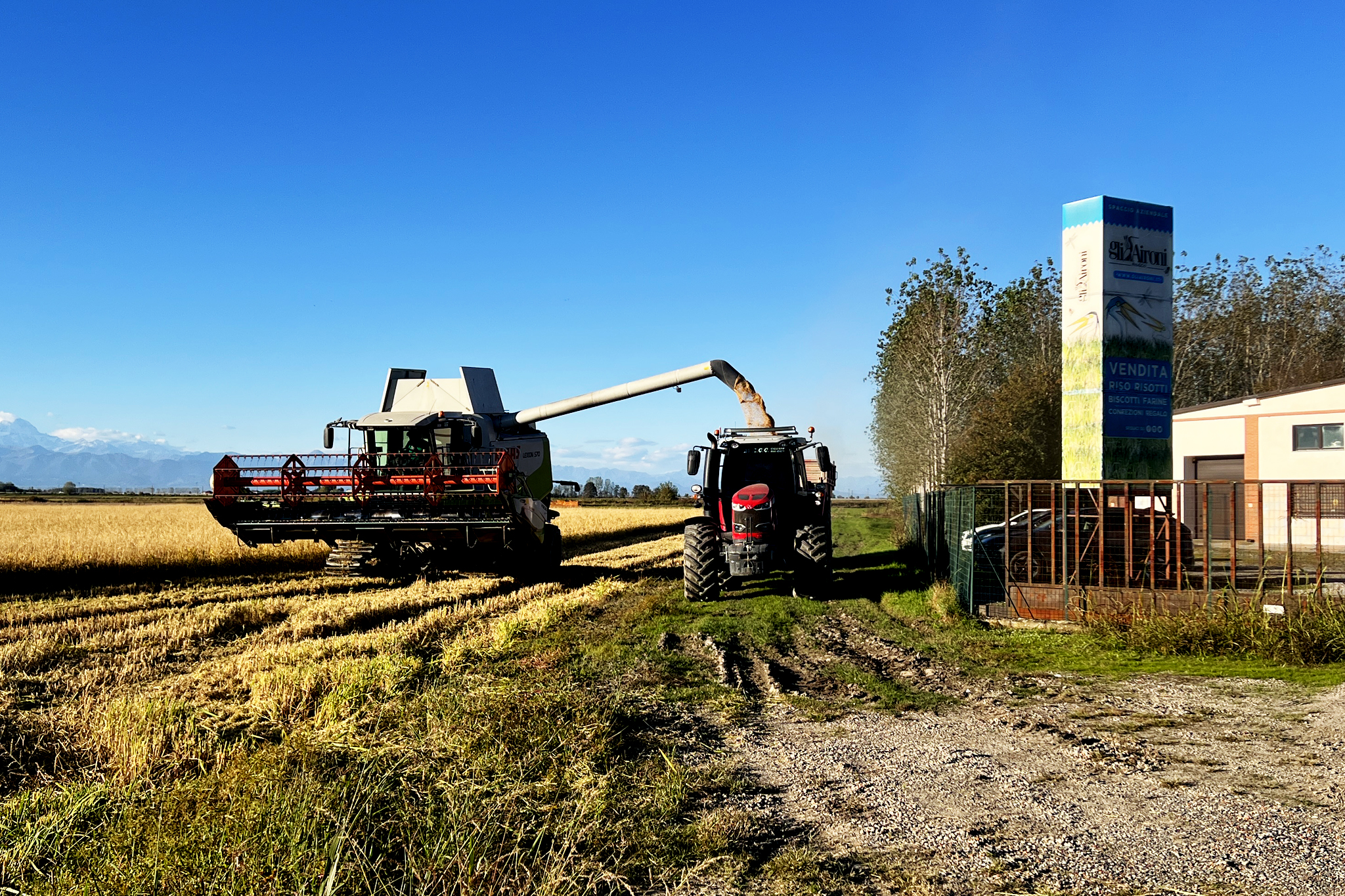 Gli Aironi Risi & Co