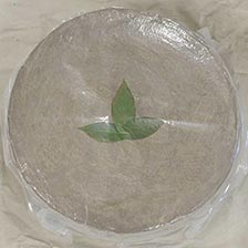 Sottocenere with Truffles (Special Order)